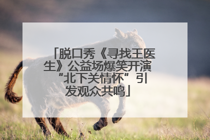 脱口秀《寻找王医生》公益场爆笑开演 “北下关情怀”引发观众共鸣