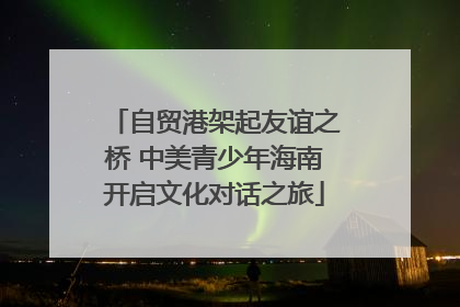 自贸港架起友谊之桥 中美青少年海南开启文化对话之旅