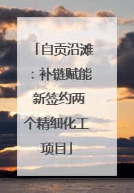 自贡沿滩：补链赋能 新签约两个精细化工项目