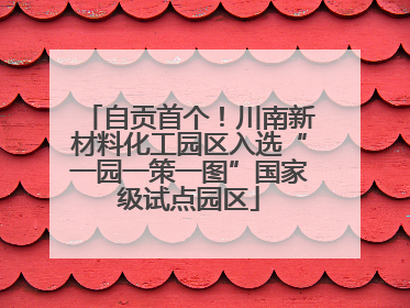 自贡首个！川南新材料化工园区入选“一园一策一图”国家级试点园区