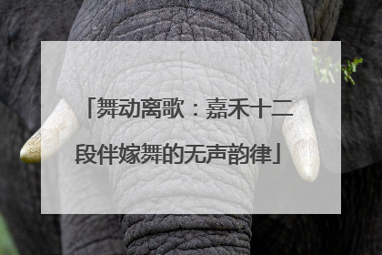 舞动离歌：嘉禾十二段伴嫁舞的无声韵律