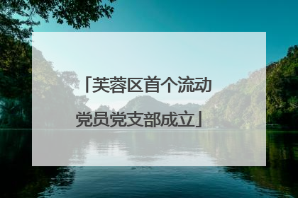 芙蓉区首个流动党员党支部成立