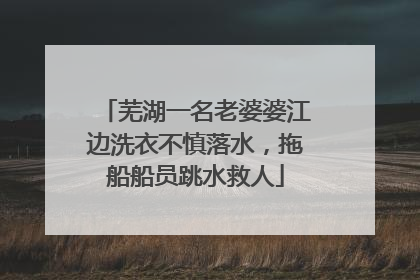 芜湖一名老婆婆江边洗衣不慎落水，拖船船员跳水救人