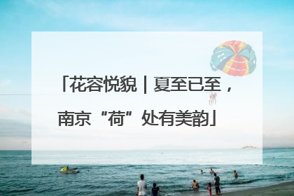 花容悦貌｜夏至已至，南京“荷”处有美韵