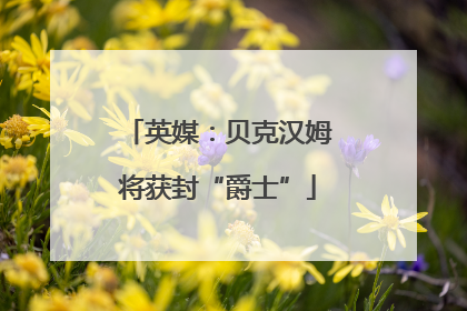 英媒：贝克汉姆将获封“爵士”