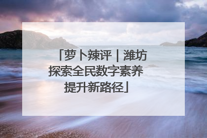萝卜辣评｜潍坊探索全民数字素养提升新路径
