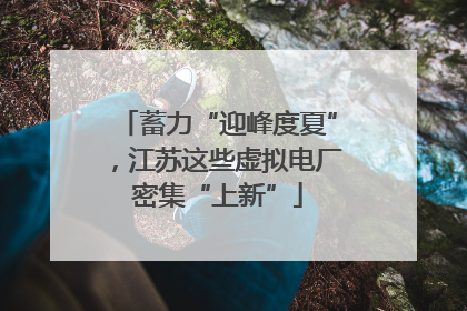 蓄力“迎峰度夏”，江苏这些虚拟电厂密集“上新”