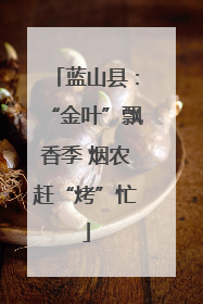 蓝山县：“金叶”飘香季 烟农赶“烤”忙