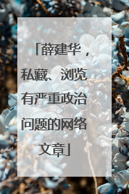 薛建华，私藏、浏览有严重政治问题的网络文章
