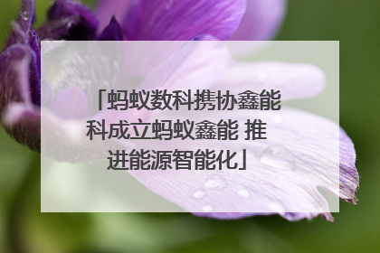 蚂蚁数科携协鑫能科成立蚂蚁鑫能 推进能源智能化