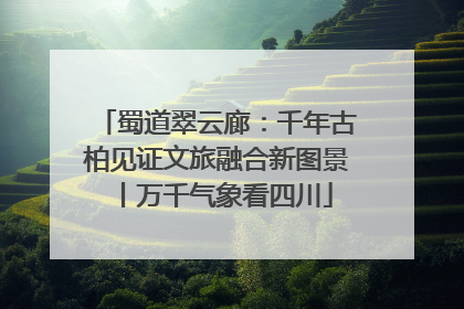 蜀道翠云廊：千年古柏见证文旅融合新图景丨万千气象看四川