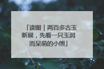 读图｜两百多古玉新展，先看一只玉润而呆萌的小熊