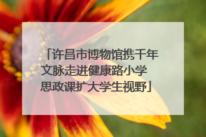许昌市博物馆携千年文脉走进健康路小学 思政课扩大学生视野