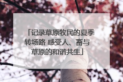 记录草原牧民的夏季转场路 感受人、畜与草原的和谐共生