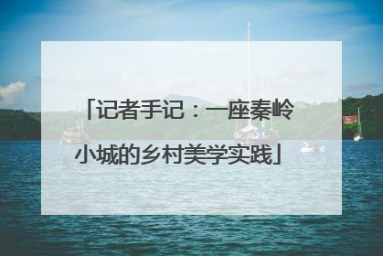 记者手记：一座秦岭小城的乡村美学实践