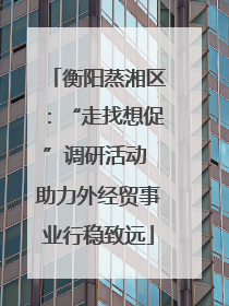 衡阳蒸湘区：“走找想促”调研活动 助力外经贸事业行稳致远