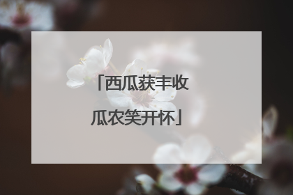 西瓜获丰收 瓜农笑开怀