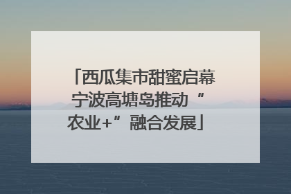 西瓜集市甜蜜启幕 宁波高塘岛推动“农业+”融合发展
