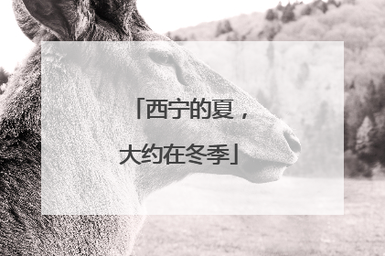 西宁的夏，大约在冬季