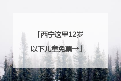 西宁这里12岁以下儿童免票→