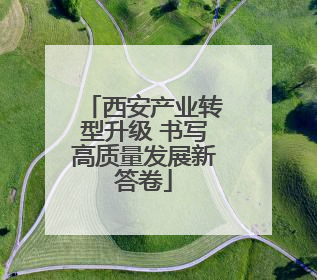 西安产业转型升级 书写高质量发展新答卷