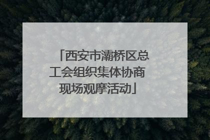西安市灞桥区总工会组织集体协商现场观摩活动