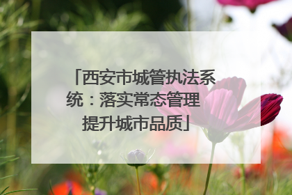 西安市城管执法系统：落实常态管理 提升城市品质
