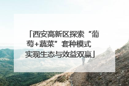 西安高新区探索“葡萄+蔬菜”套种模式 实现生态与效益双赢