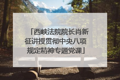 西峡法院院长肖新征讲授贯彻中央八项规定精神专题党课