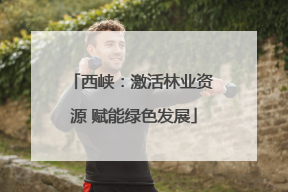西峡：激活林业资源 赋能绿色发展