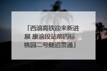 西渝高铁迎来新进展 康渝段站前四标桃园二号隧道贯通