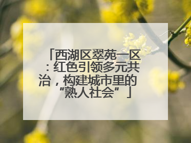 西湖区翠苑一区：红色引领多元共治，构建城市里的“熟人社会”