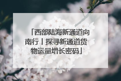 西部陆海新通道向南行丨探寻新通道货物运量增长密码
