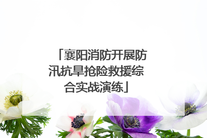 襄阳消防开展防汛抗旱抢险救援综合实战演练