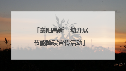 襄阳高新二幼开展节能降碳宣传活动