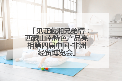见证藏湘兄弟情：西藏山南特色产品亮相第四届中国-非洲经贸博览会