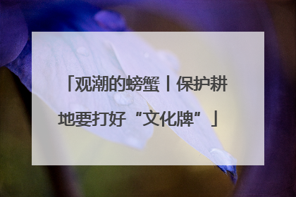 观潮的螃蟹丨保护耕地要打好“文化牌”