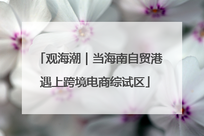观海潮｜当海南自贸港遇上跨境电商综试区
