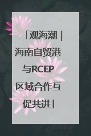 观海潮｜海南自贸港与RCEP区域合作互促共进