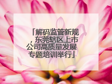 解码监管新规，东莞辖区上市公司高质量发展专题培训举行