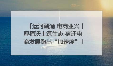 运河潮涌 电商业兴丨厚植沃土筑生态 宿迁电商发展跑出“加速度”
