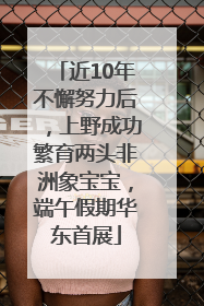 近10年不懈努力后，上野成功繁育两头非洲象宝宝，端午假期华东首展