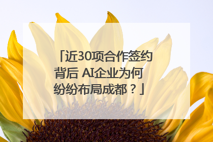 近30项合作签约背后 AI企业为何纷纷布局成都？