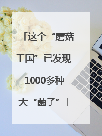 这个“蘑菇王国”已发现1000多种大“菌子”