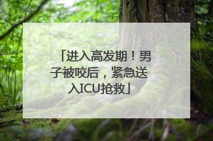 进入高发期！男子被咬后，紧急送入ICU抢救