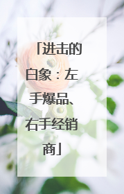 进击的白象：左手爆品、右手经销商