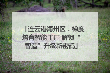 连云港海州区：梯度培育智能工厂 解锁“智造”升级新密码