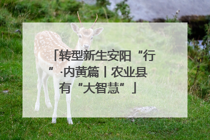 转型新生安阳“行”·内黄篇丨农业县有“大智慧”