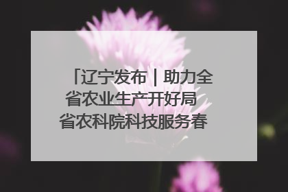 辽宁发布｜助力全省农业生产开好局 省农科院科技服务春耕备耕成效显著