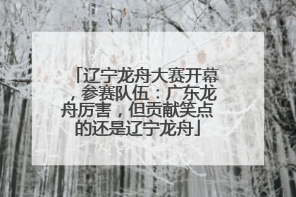 辽宁龙舟大赛开幕，参赛队伍：广东龙舟厉害，但贡献笑点的还是辽宁龙舟